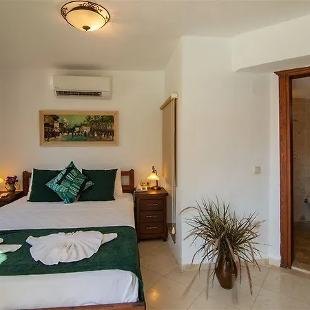 Hotel Turay 3*